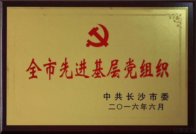 全市先進基層黨組織2016